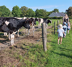 Sortie à la ferme pour la classe de petite section