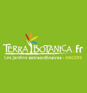 Terra bocanica